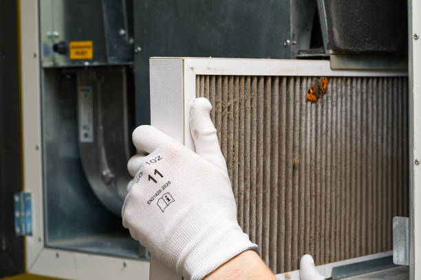 Best Emergency Air Duct Cleaning  in Naples, UT