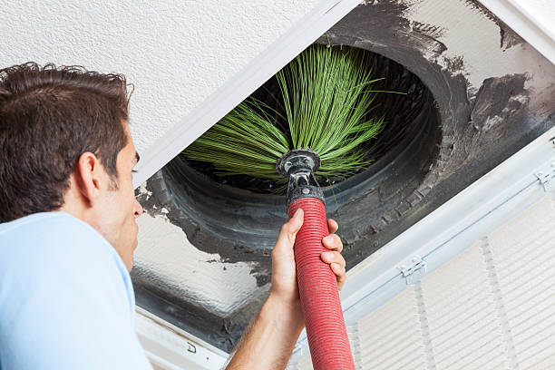 Best Affordable HVAC Duct Cleaning  in Naples, UT