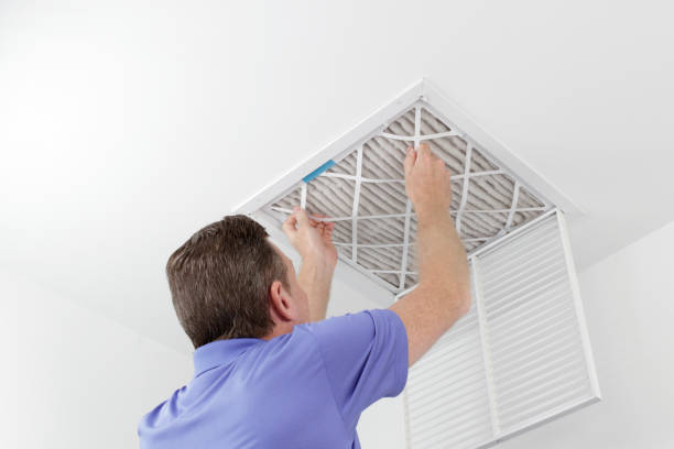 Best Air Duct Cleaning Near Me  in Naples, UT